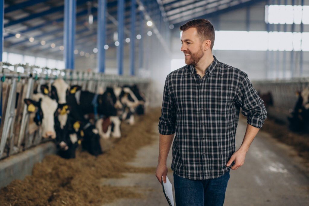 Expert Tips For Dairy Farming Success In Ontario
