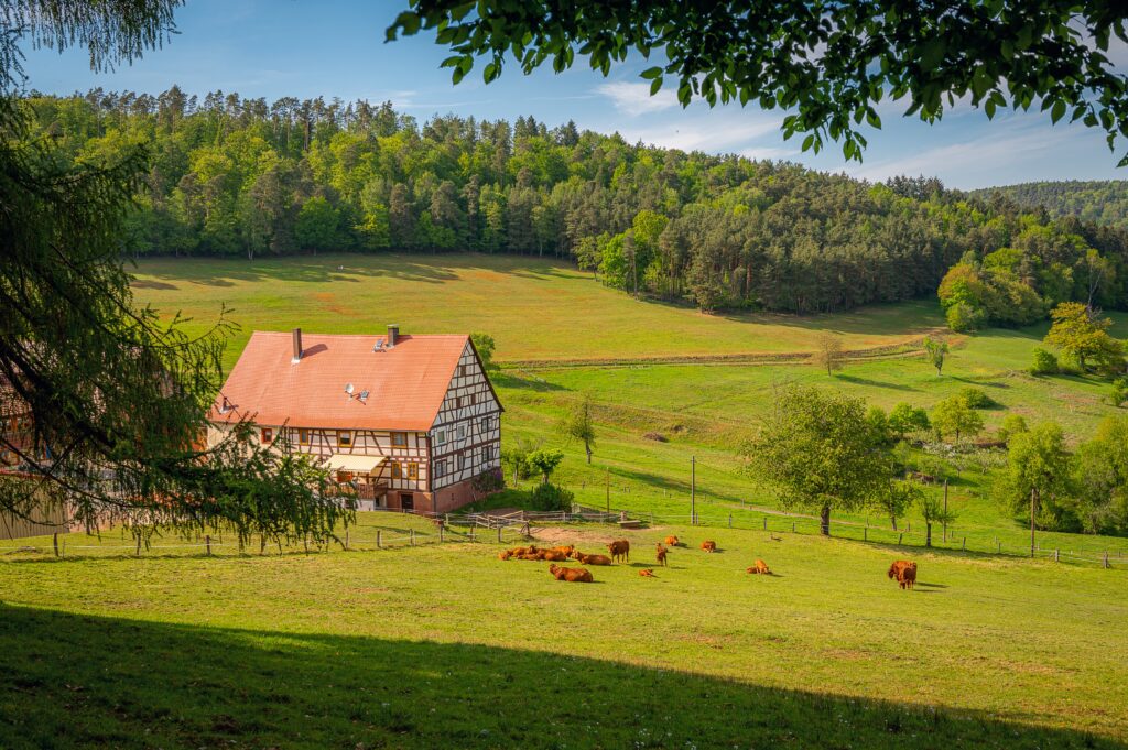 A Rural Farm Property