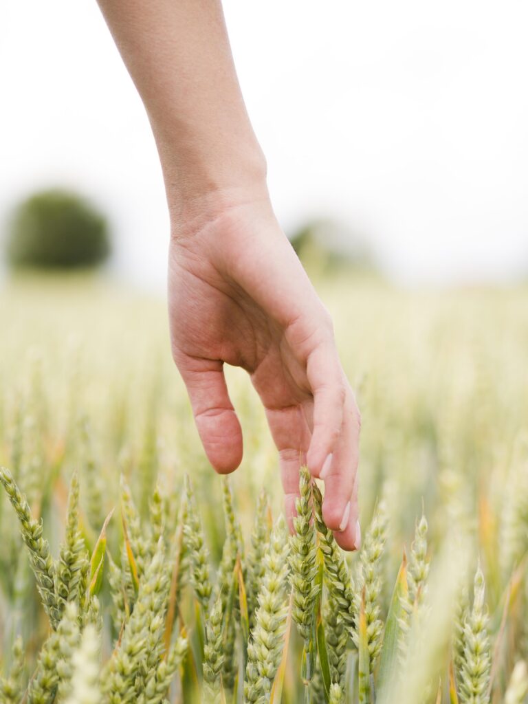 Current farmland values are anything but ‘dirt cheap’